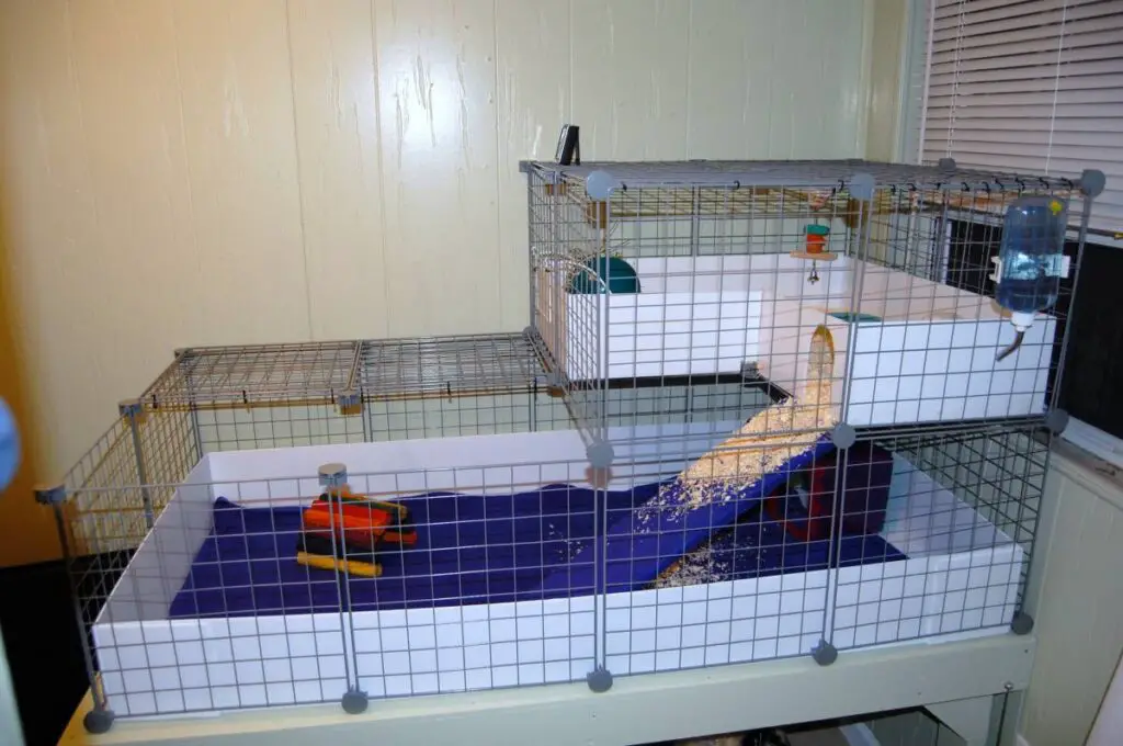 How To Build A Cage For Guinea Pigs