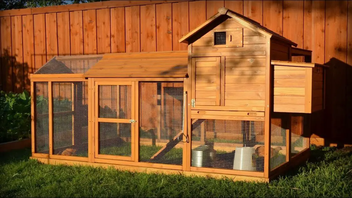 How To Build A Pigeon Coop