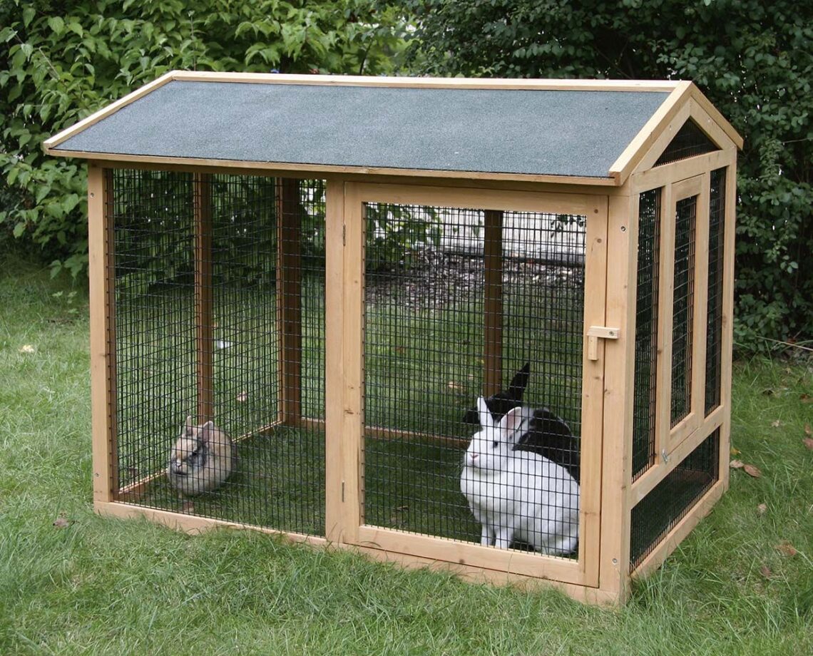How To Build A Rabbit Hutch