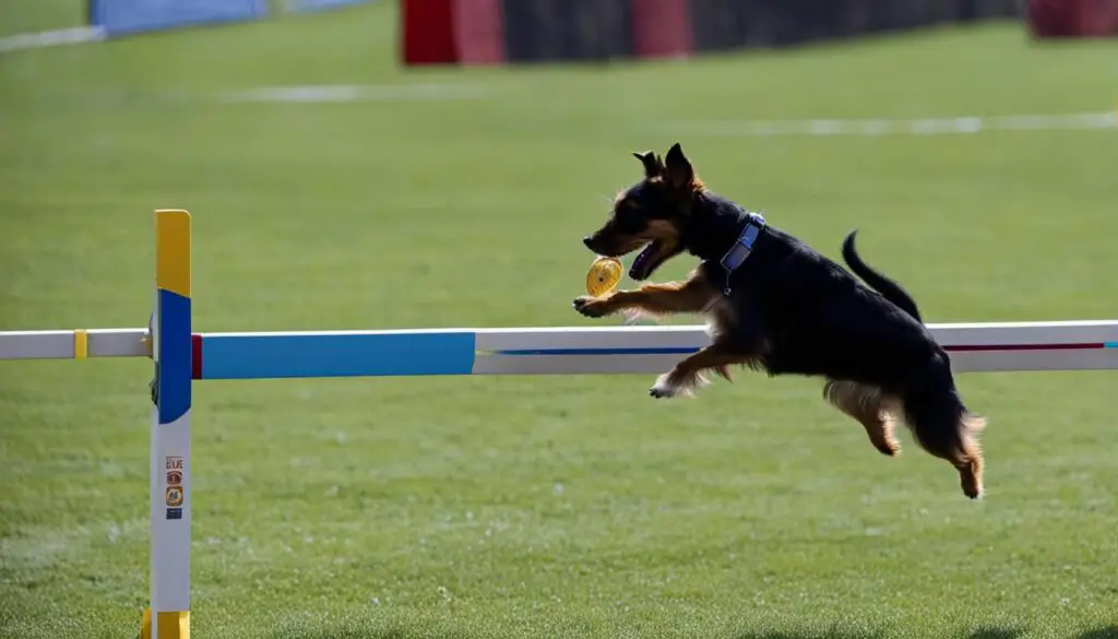 small dog training techniques