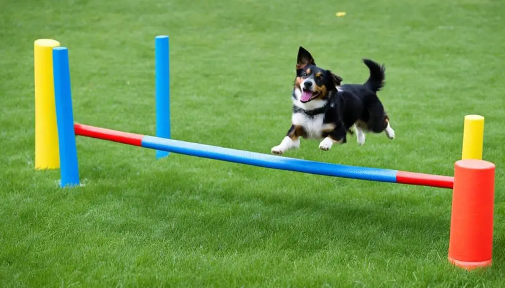 Canine Good Citizen Training